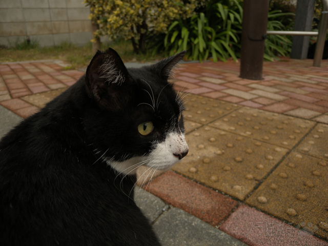 DSCN2372.jpg