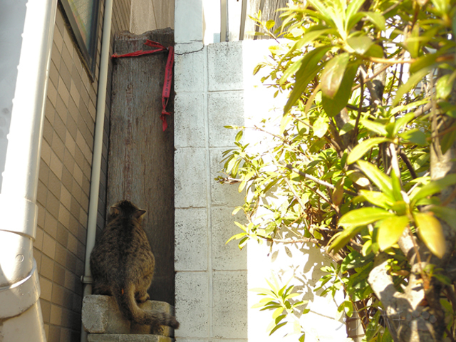 DSCN2380.jpg