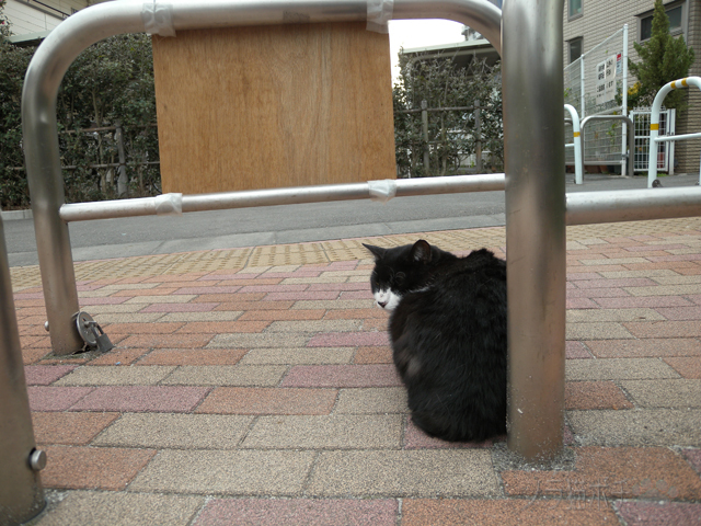 DSCN2479.jpg