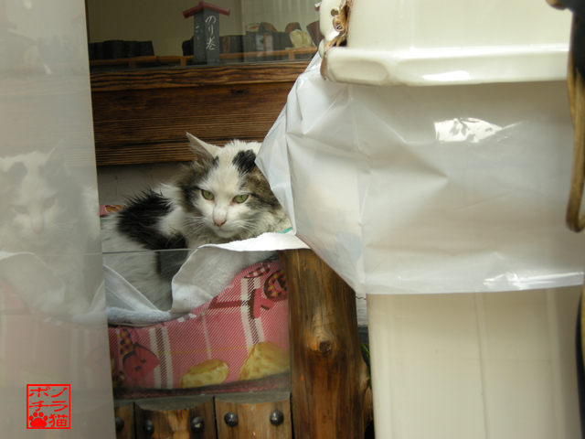 DSCN2581.jpg