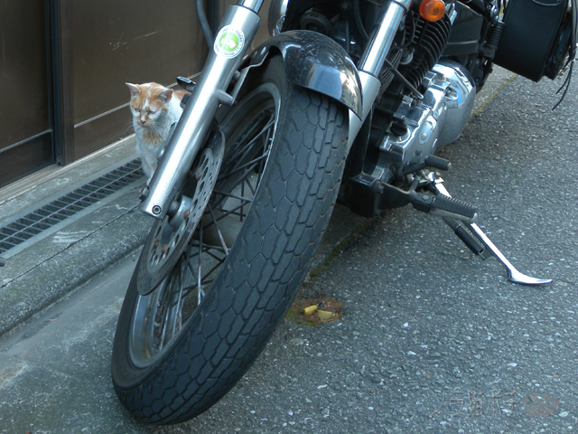 DSCN2721.jpg