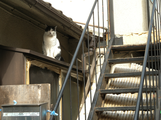 DSCN2734.jpg