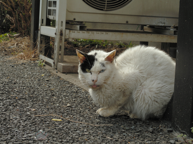 DSCN2778.jpg
