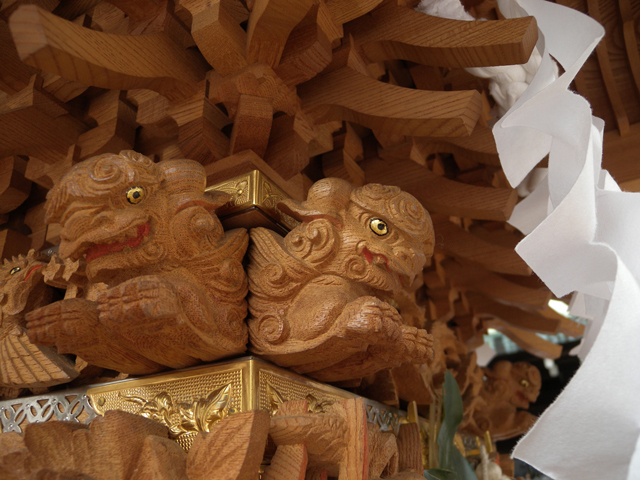 DSCN3048.jpg