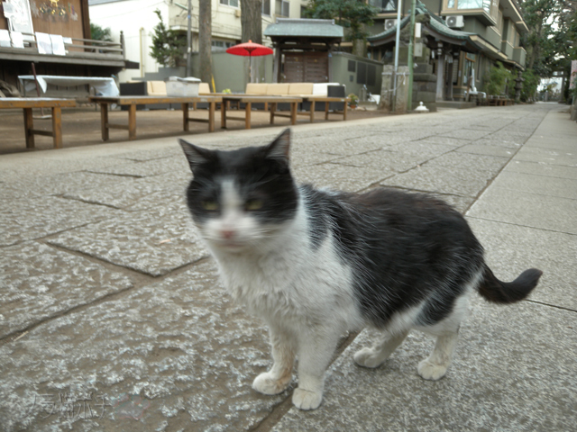 DSCN3092.jpg