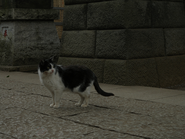 DSCN3096.jpg