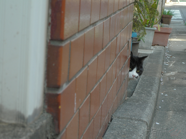 DSCN3136.jpg