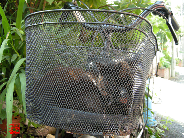 DSCN3521.jpg