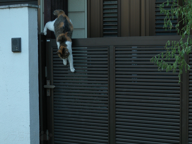 DSCN3565.jpg