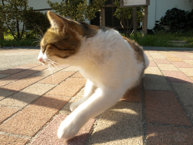 DSCN3569.jpg