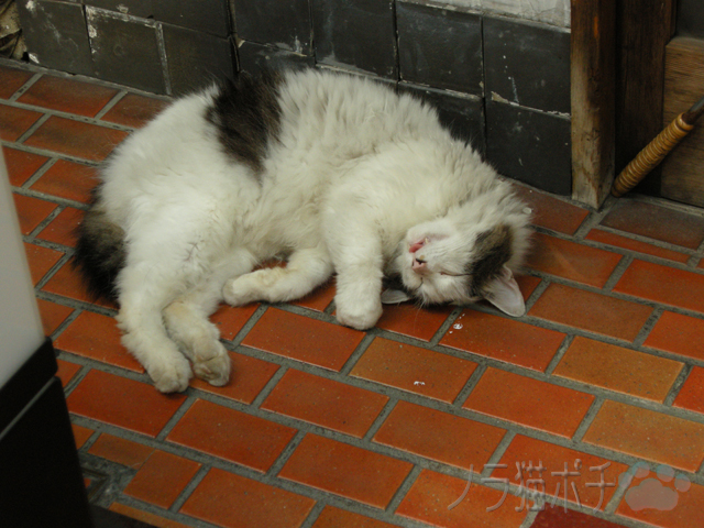 DSCN3744.jpg