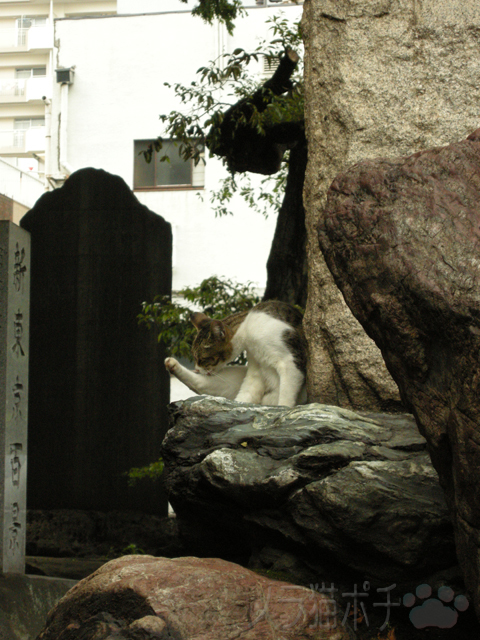 DSCN3780.jpg