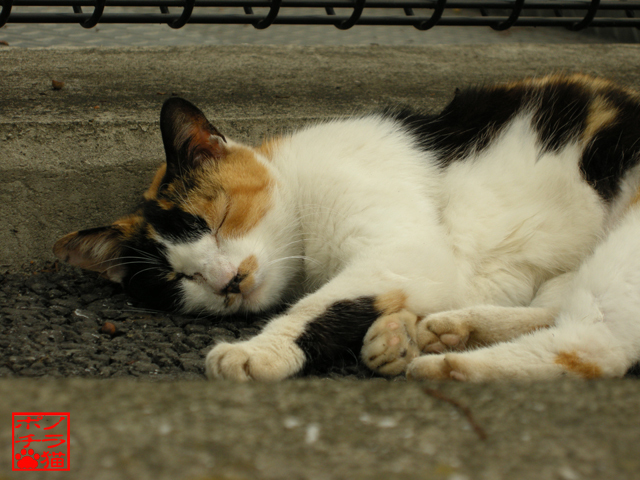 DSCN3803.jpg