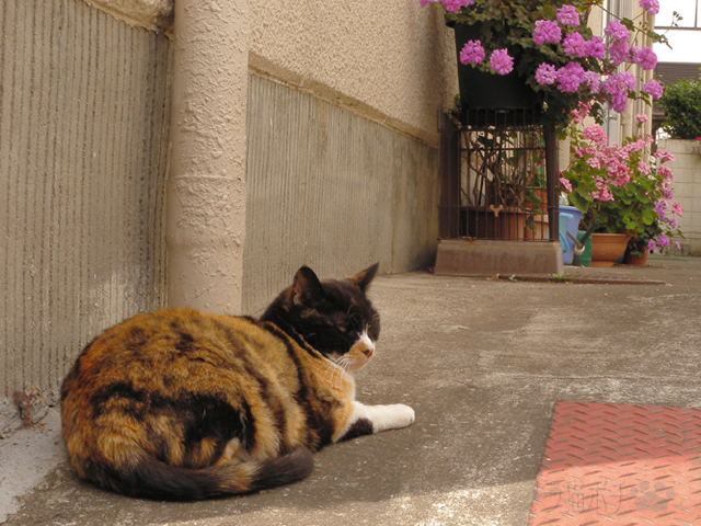 DSCN3931.jpg