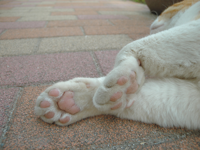 DSCN4051.jpg