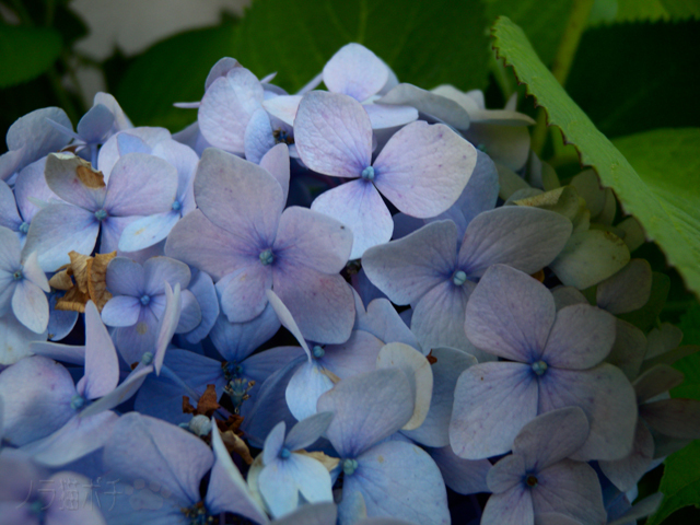 DSCN4673.jpg