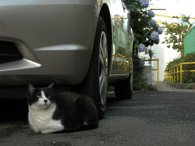 DSCN4759.jpg