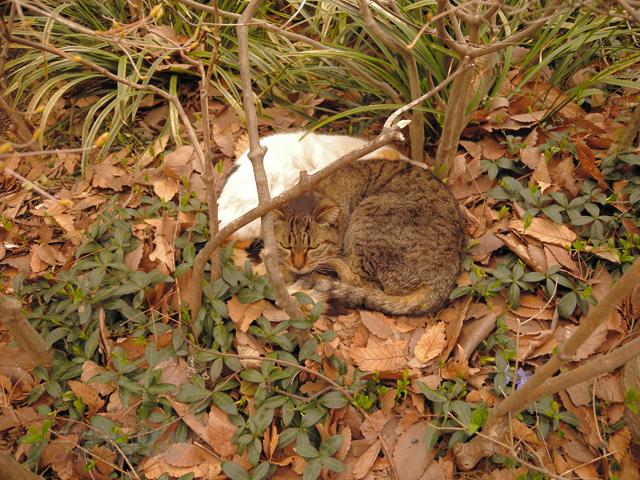 DSCN5165.jpg