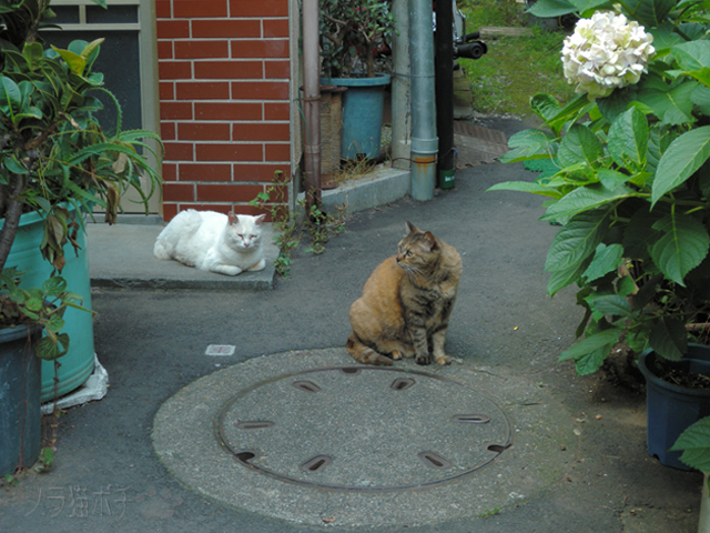 DSCN5274.jpg