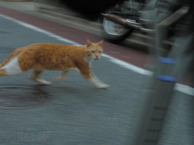 DSCN5312.jpg