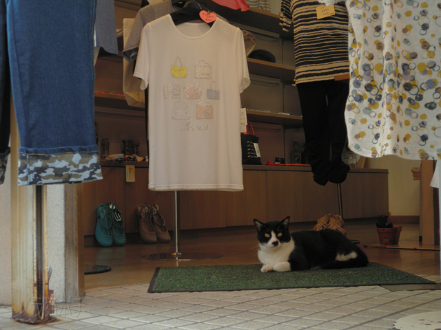 DSCN5366.jpg