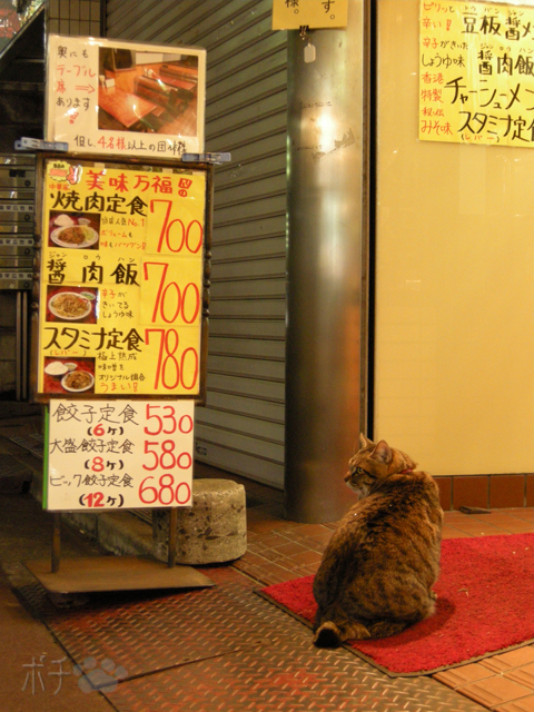 DSCN5485.jpg