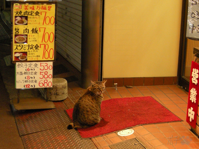DSCN5495.jpg
