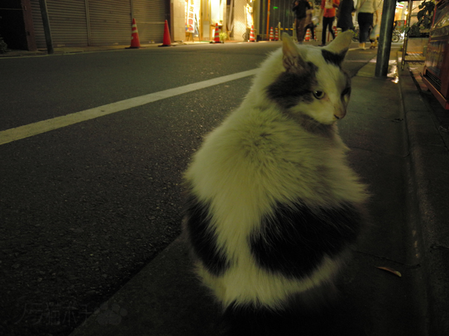DSCN5593.jpg
