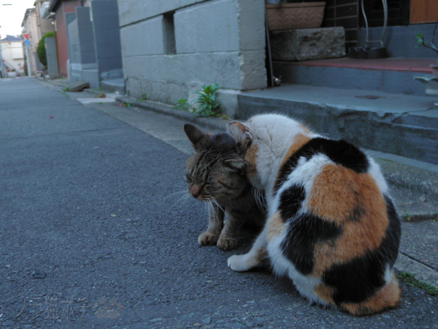 DSCN5743.jpg