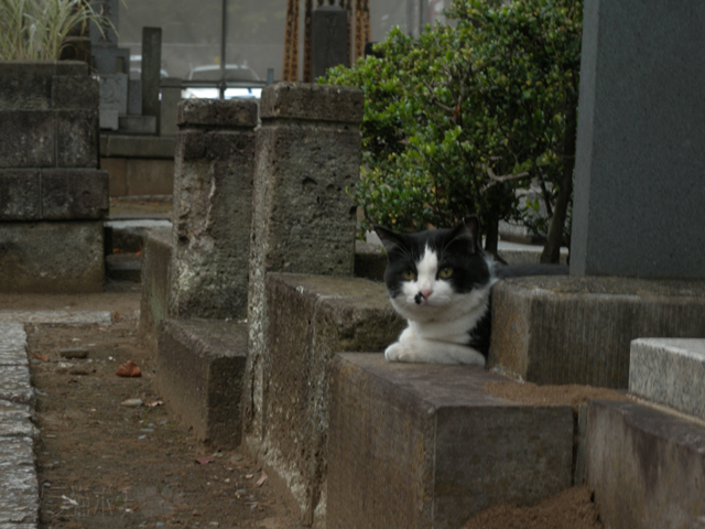 DSCN6144.jpg