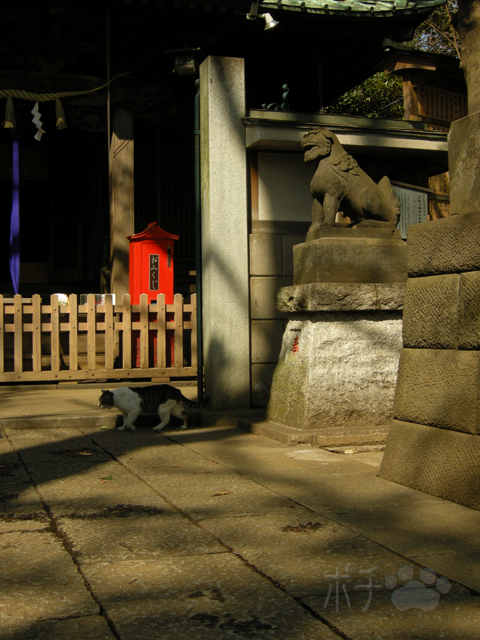 DSCN6289.jpg