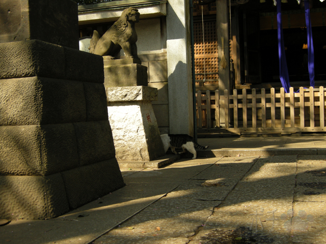 DSCN6290.jpg