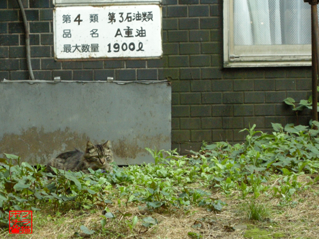 DSCN6688.jpg