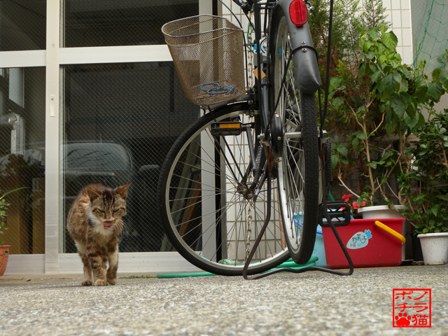 DSCN6696.jpg
