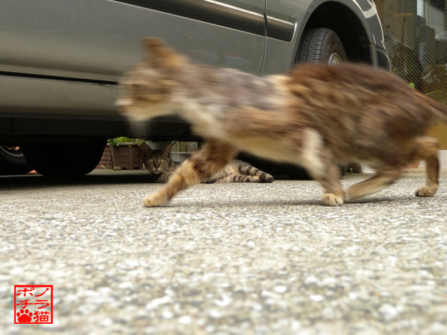 DSCN6707.jpg
