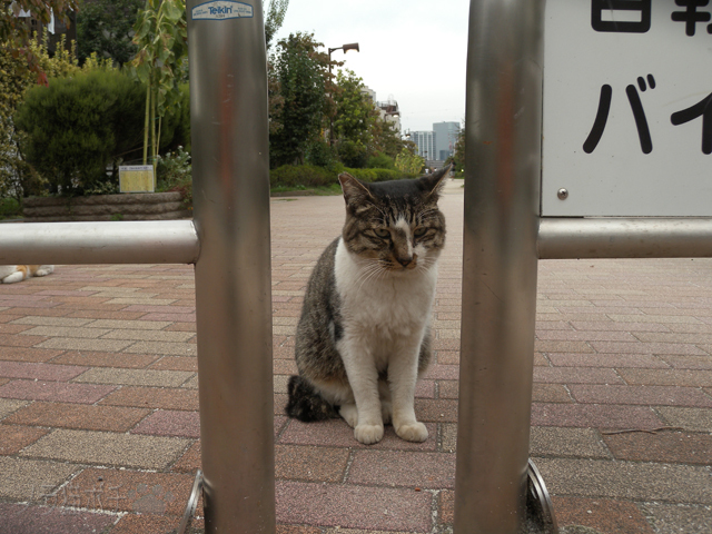 DSCN6729.jpg