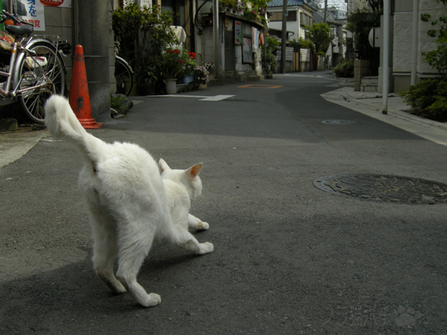 DSCN6731.jpg