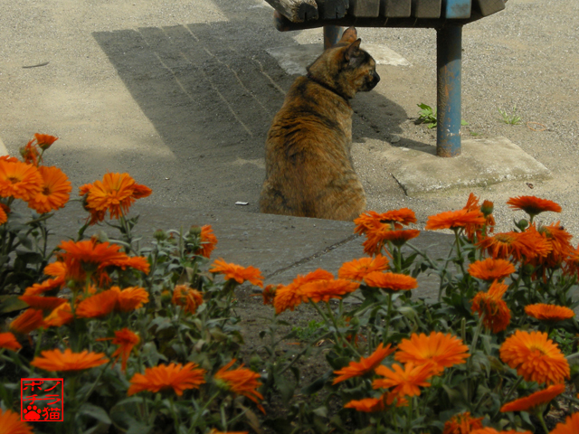 DSCN6739.jpg