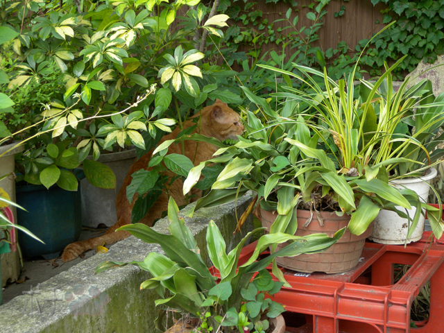 DSCN6814.jpg