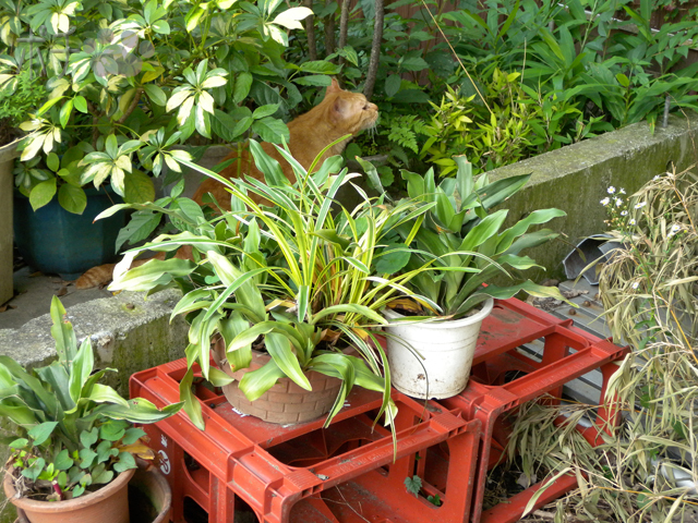 DSCN6815.jpg