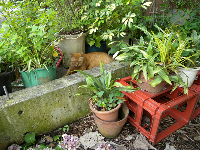 DSCN6818.jpg