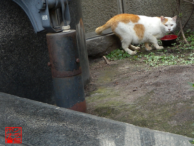 DSCN6832.jpg