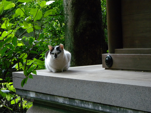 DSCN6903.jpg