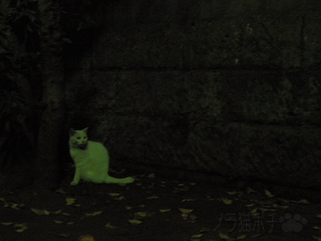 DSCN6966.jpg