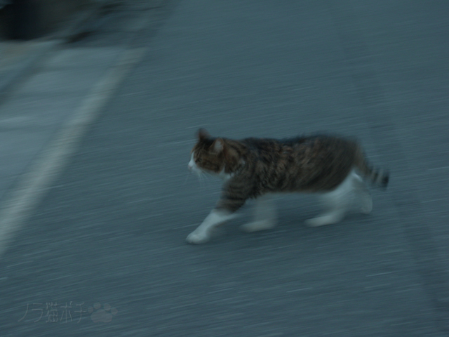 DSCN7192.jpg