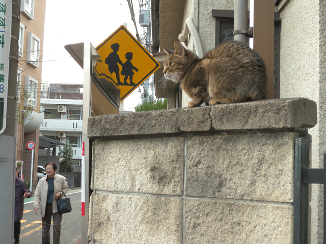 DSCN7206.jpg