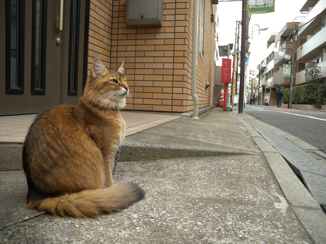 DSCN7259.jpg