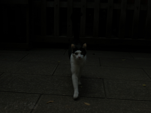 DSCN7261.jpg