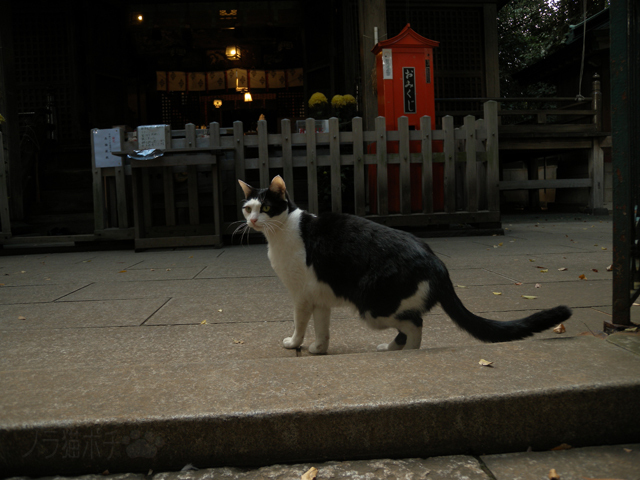 DSCN7266.jpg