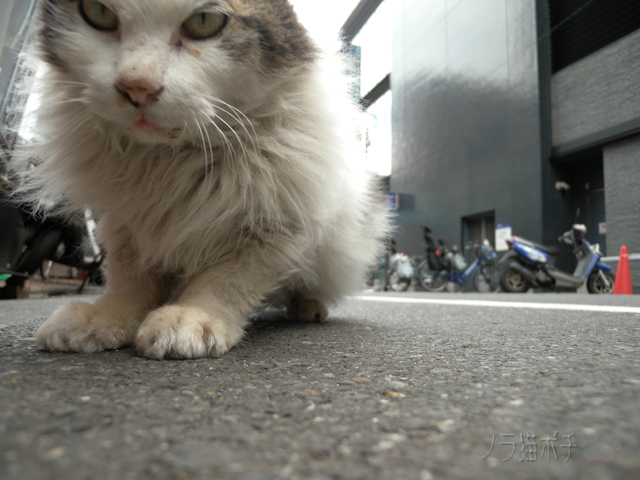 DSCN7677.jpg